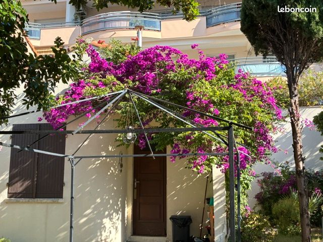 Appartement 2 pièces 22 m² · à Fréjus · 22 m² · 695 €/mois