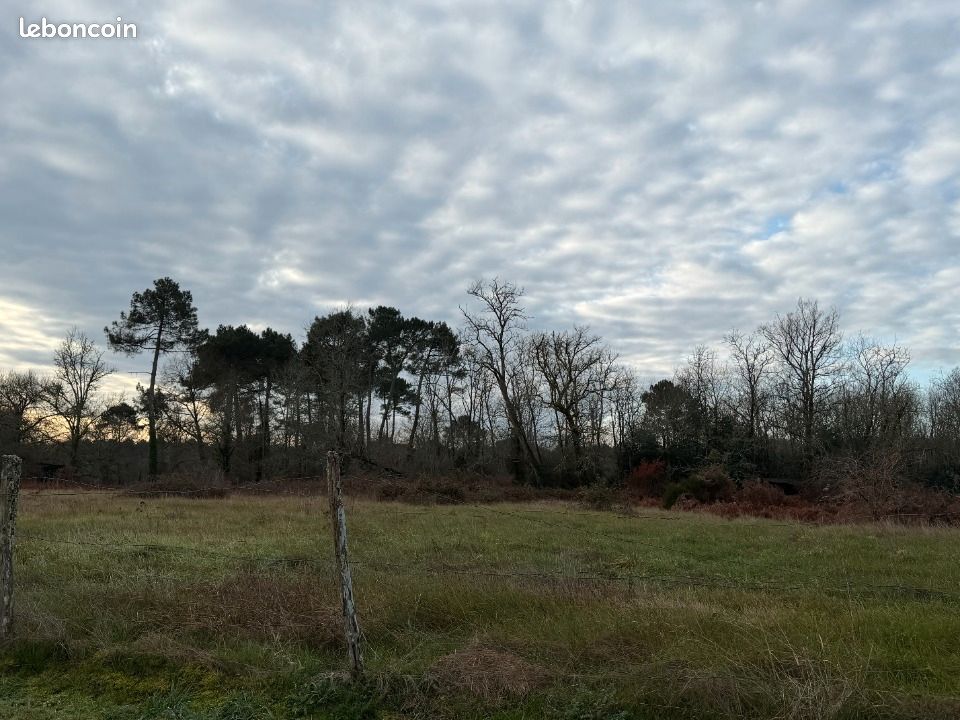 Terrain 1246 m² · à Balizac · 65 835 €