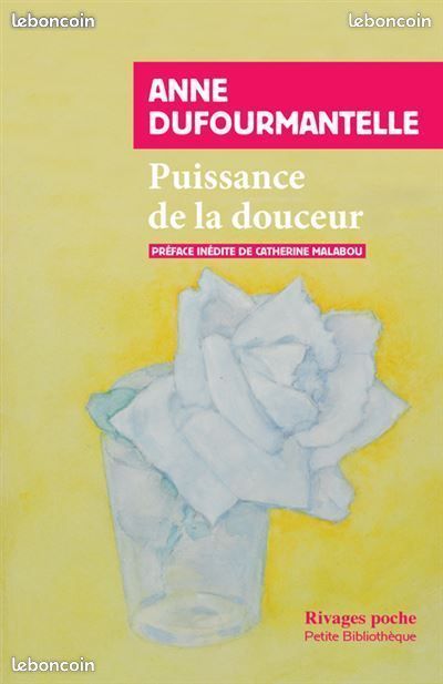 Anne Duformantelle : Éloge du risque & Défense du secret & Puissance de la Douleur (image 3)