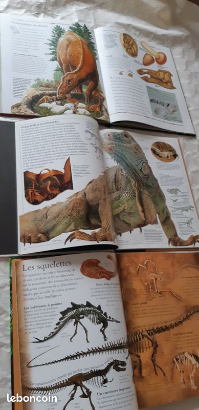 Dinosaures 6/12 ans livres (image 2)