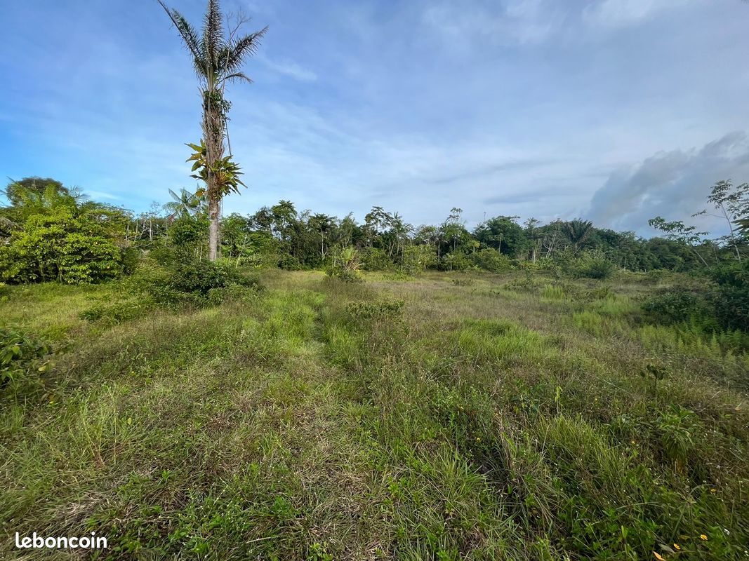 Terrain 20000 m² · à Matoury · 20 000 m² · 398 000 €