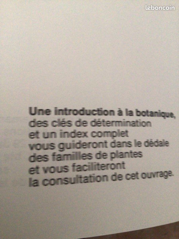 Les plantes sauvages d’Europe en couleurs de B Ursing (image 3)