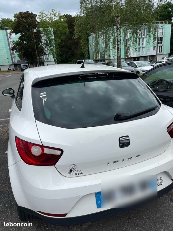Seat ibiza (image 1)