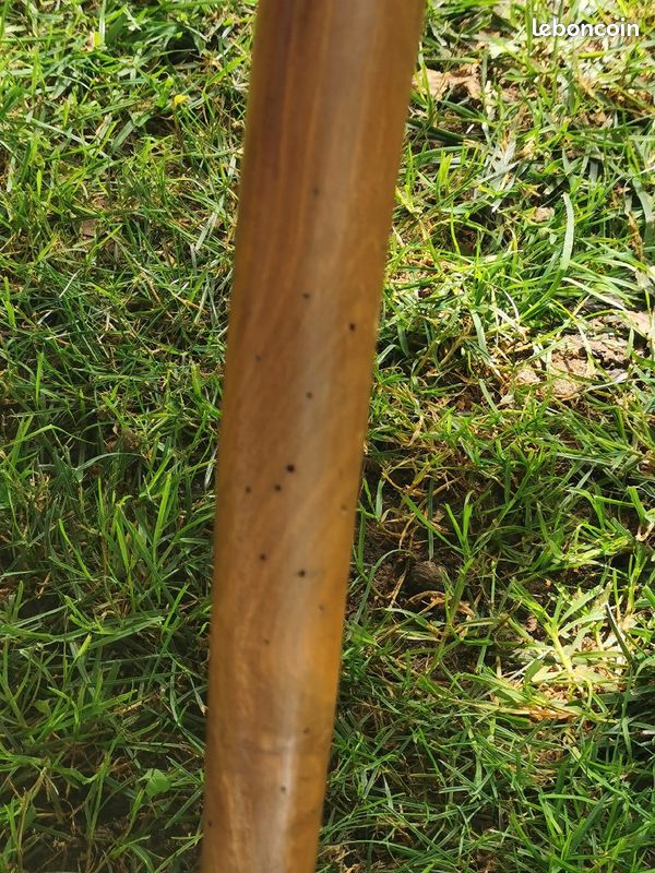 Chaises N III (image 7)