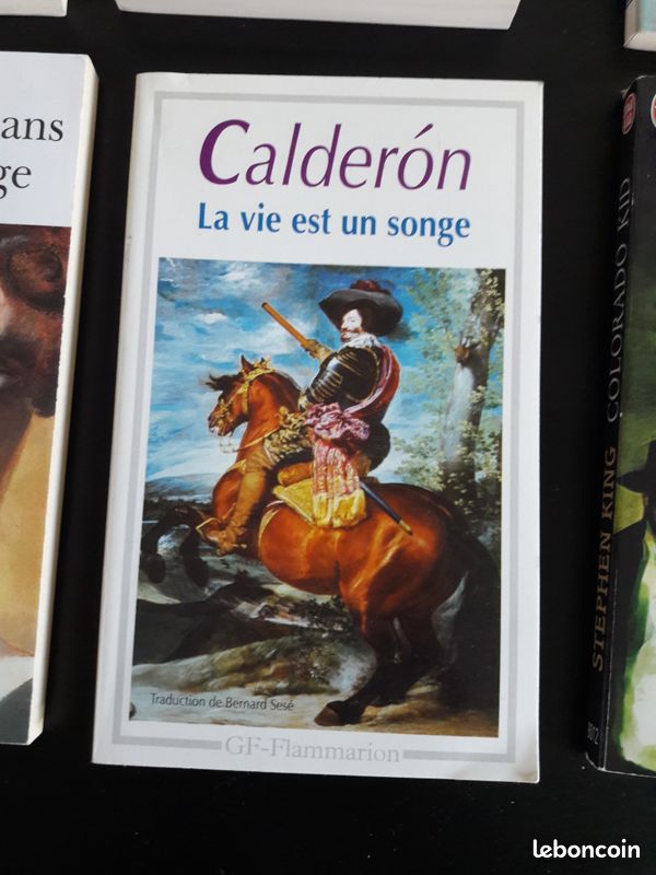 Lot de 10 livres de poche (image 8)