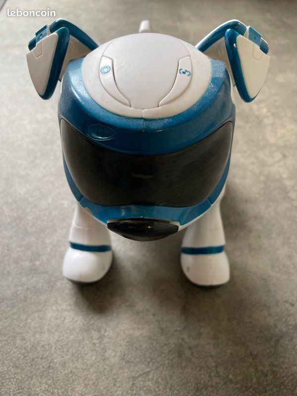 Chien teksta bon état (image 1)
