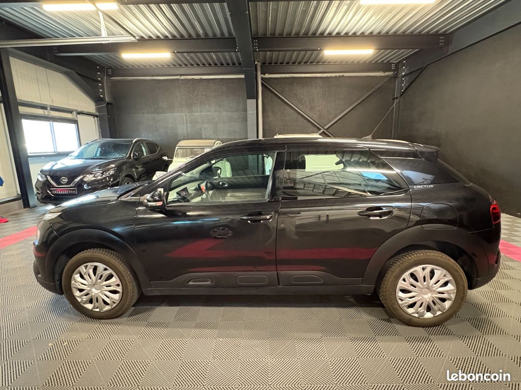 CITROEN C4 CACTUS PureTech 110 SS BVM6 Live (image 2)