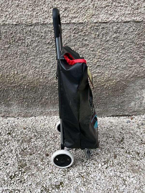 Caddie de course (image 2)