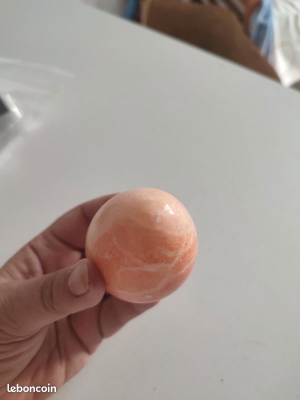 Oeuf à repriser (image 3)