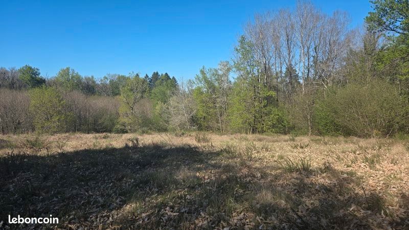 Terrain 3006 m² · à Estivaux · 35 000 €