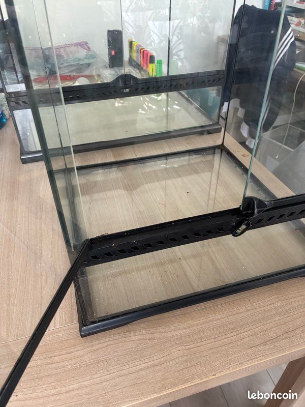 Terrarium (image 2)