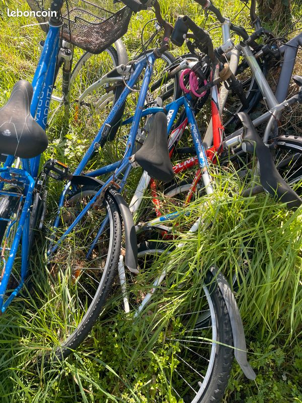 4 vélos (image 4)