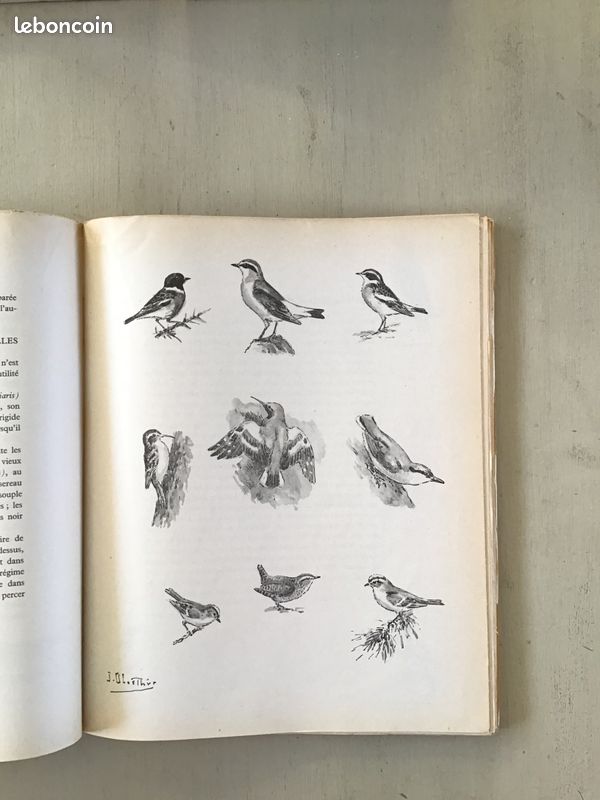 Du héron aux perdrix, de la grive aux rapaces par J.Oberthur (image 5)