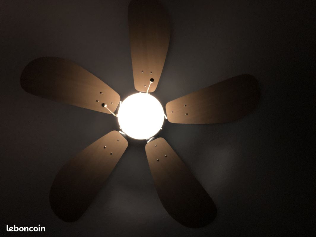 Pepeo Ventilateur de plafond - 4260316671080