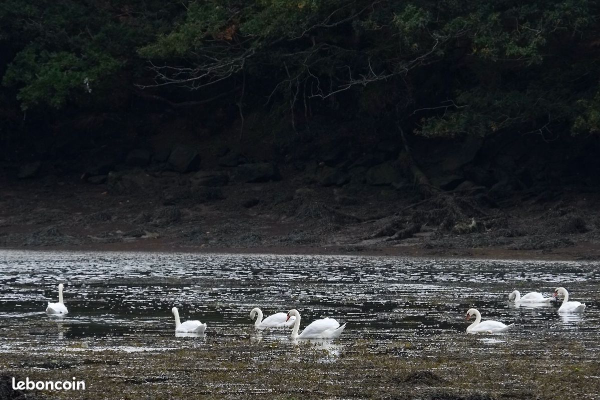 Location saisonniere ancien moulin a eau (image 14)