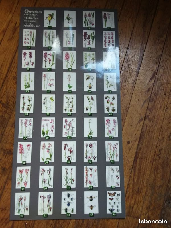 Coffret de dessins d'orchidées (image 3)