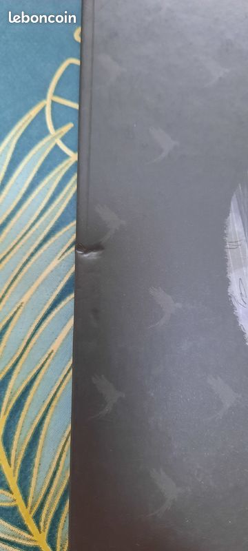 Les carnets de Cerise tome 1 (image 6)