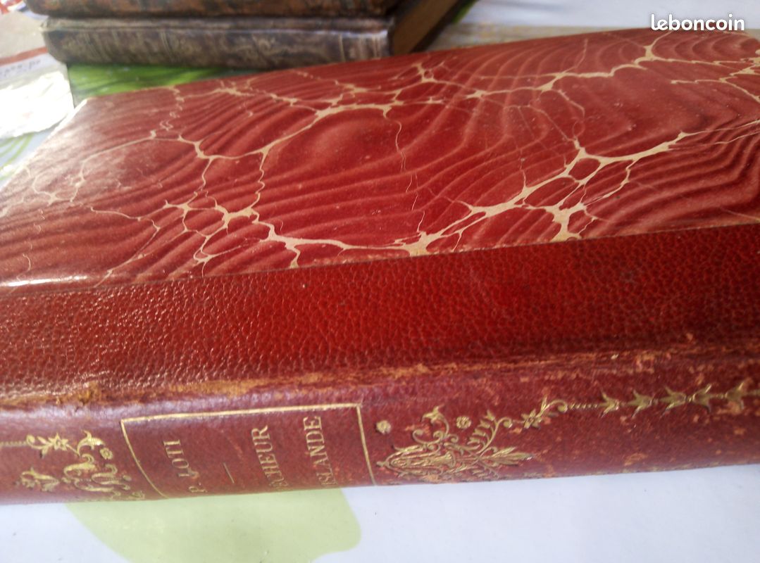 Livre ancien PÊCHEURS D'ISLANDE Pierre Loti. TBE (image 1)