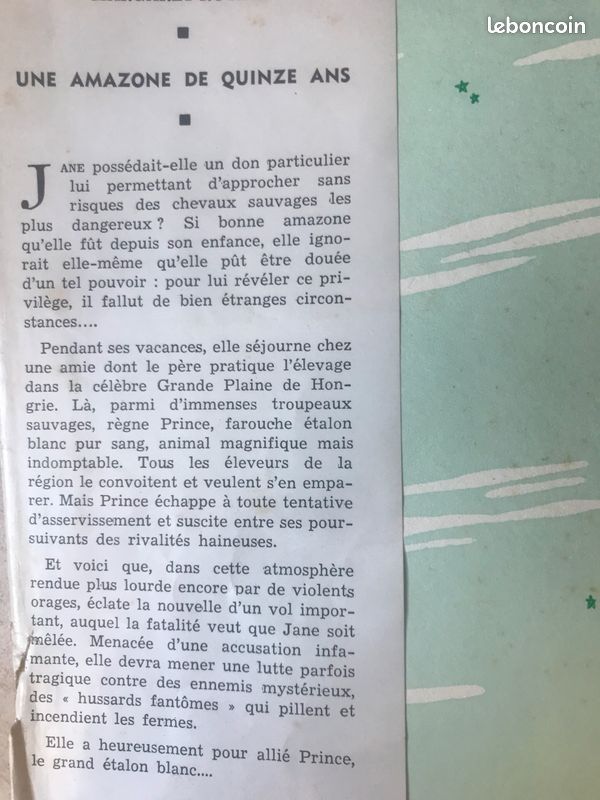 Equitation: Une amazone de quinze ans (image 2)