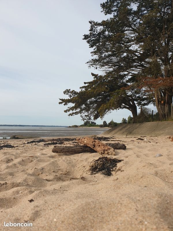 DUFOUR 445 GRAND LARGE — View photo 1