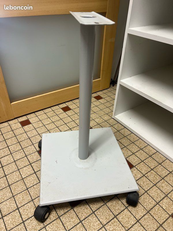 Pied metal (image 1)