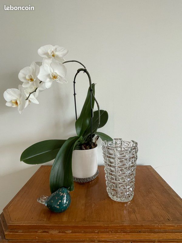 Vase en verre épais vintage (image 1)