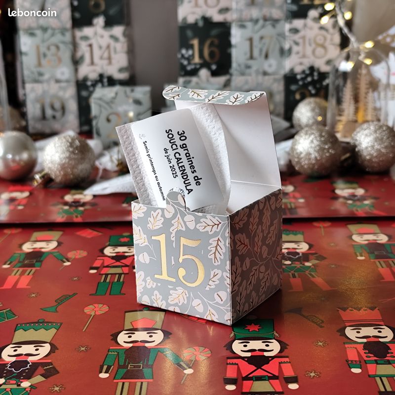 Calendrier De L’Avent 2025 Jardinage – 24 Sachets Graines (légumes, Fleurs, Herbes) + Mini Serre + Terre