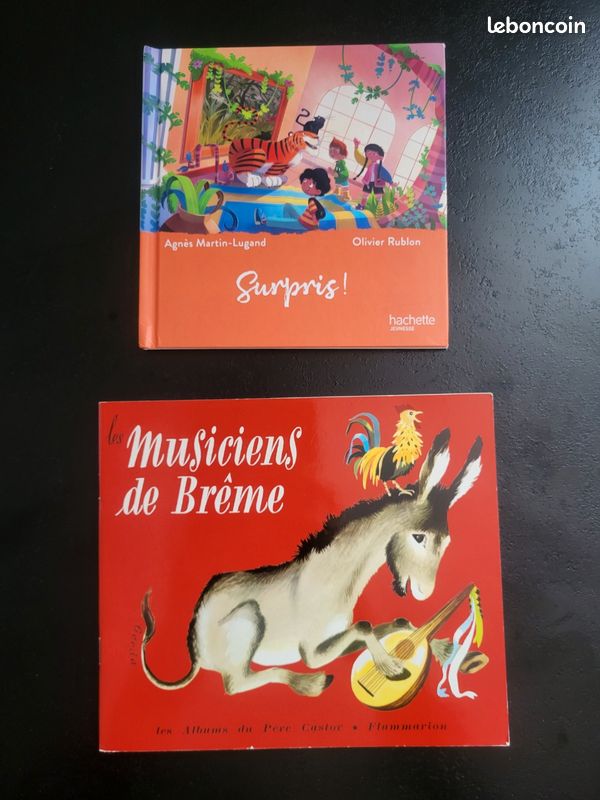 Lot 2 livres enfant (image 1)