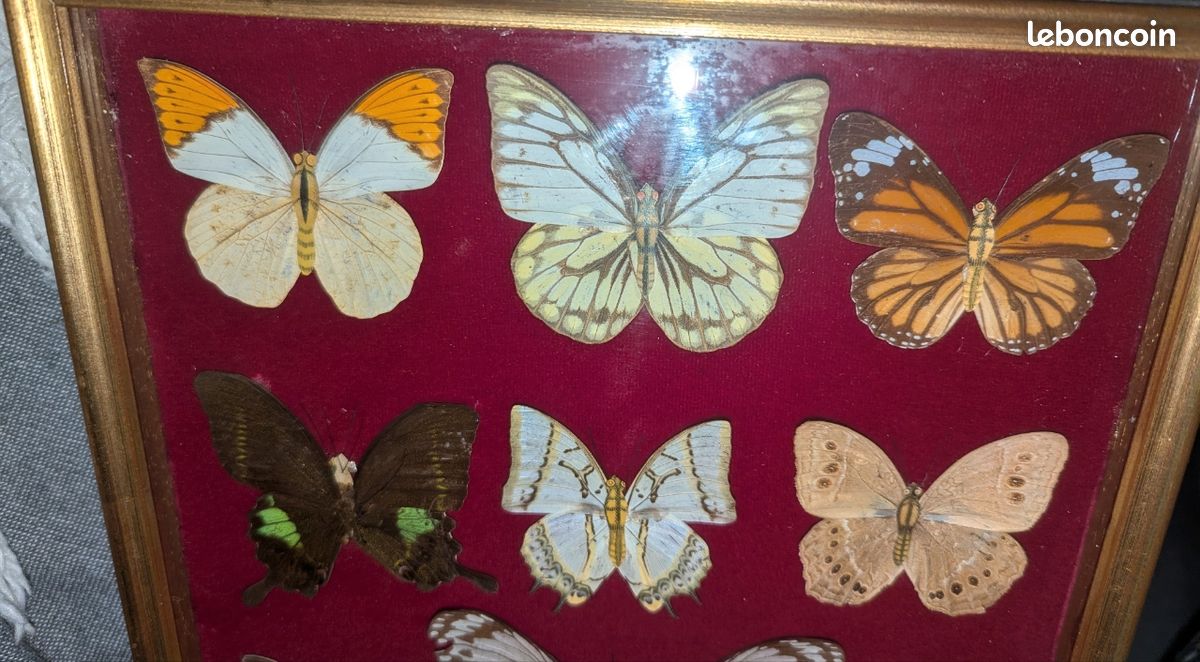 Cadre Photo En Bois Pour Affichage Horizontal Ou Montage Mural Motif