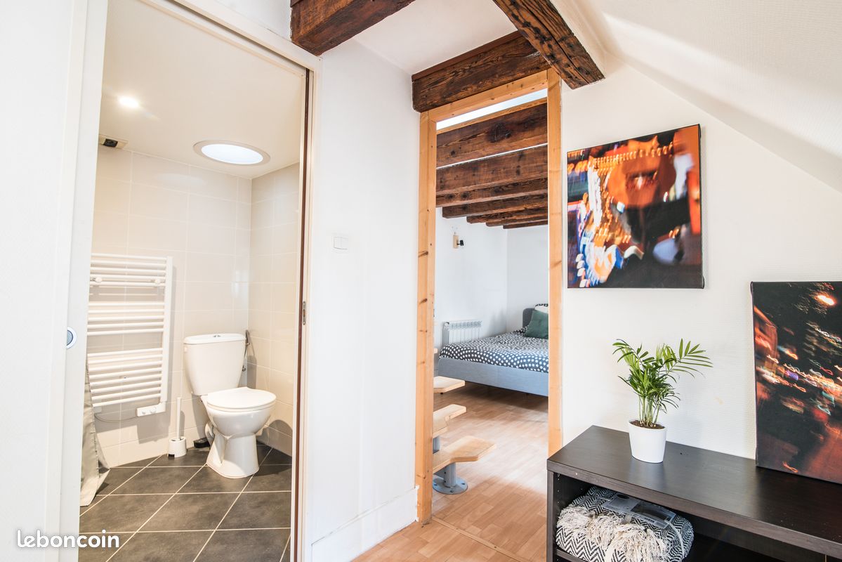 Location Appartement Centre-ville Strasbourg Bail Mobilité La Petite Cathédrale (image 9)