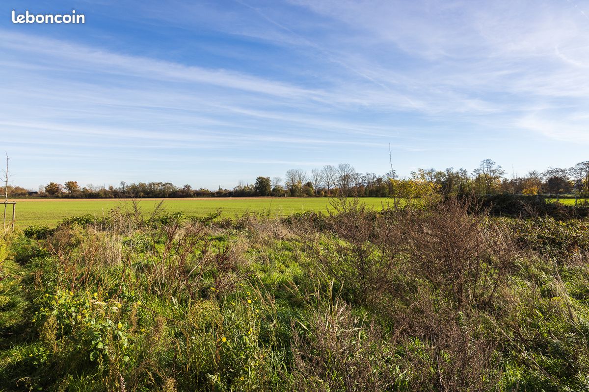 Terrain 500 m² Bollwiller (image 1)