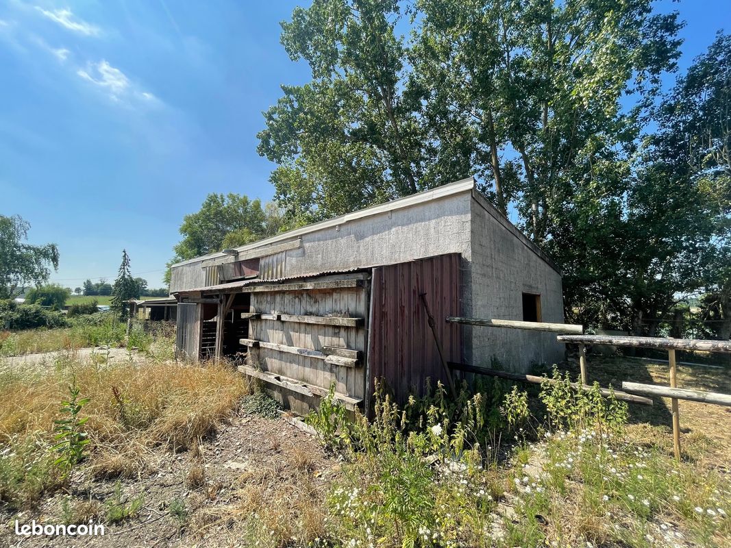 Local commercial 1 pièce 250 m² · à Steenvoorde · 250 m² · 98 500 €