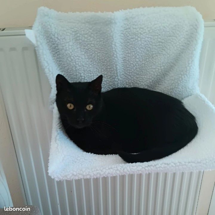 Lit pour chat (image 1)