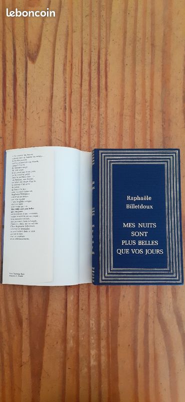 Mes nuits sont plus belles que vos jours de Raphaële Billetdoux (image 4)