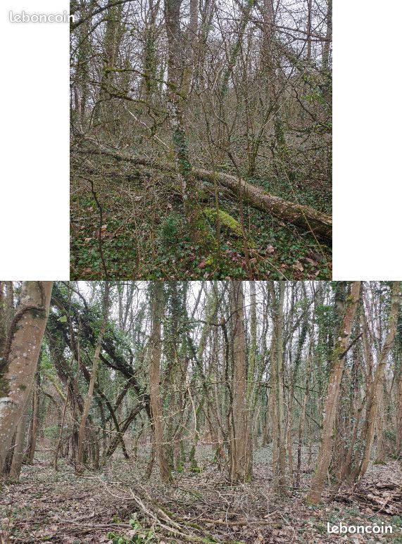 Lot de 8 terrains secteur Pont-à-Mousson · à Montauville · 15 990 €