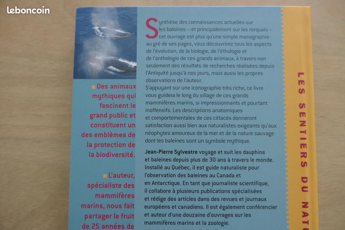 Les baleines et autres rorquals (image 3)