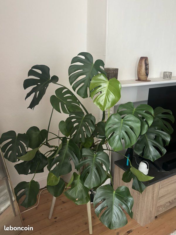 Maison 2 pièces 50 m² · à Carvin · 50 m² · 750 €/mois