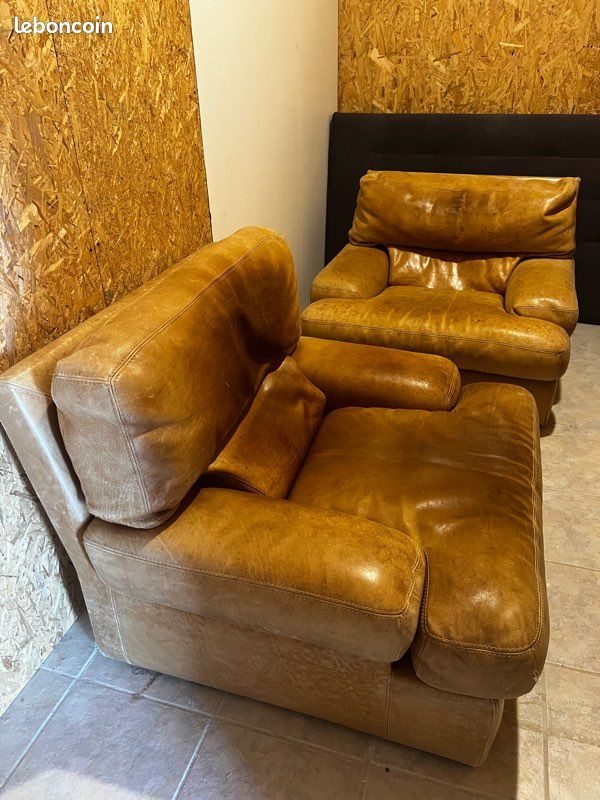 Fauteuil Roche Bobois (image 2)