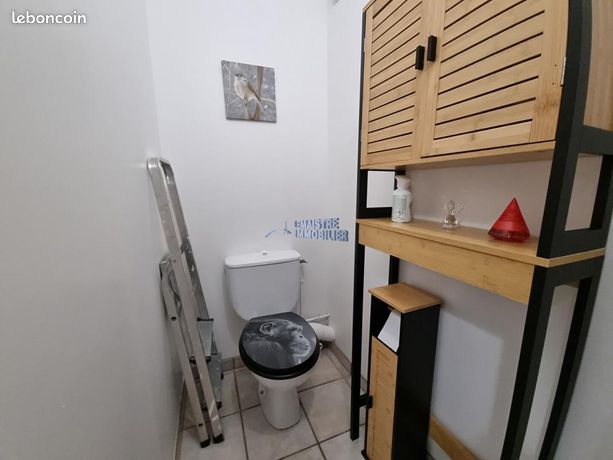 https://img.leboncoin.fr/api/v1/lbcpb1/images/72/06/df/7206df488ed1758d0894f604390081dd94e60aa7.jpg?rule=ad-image