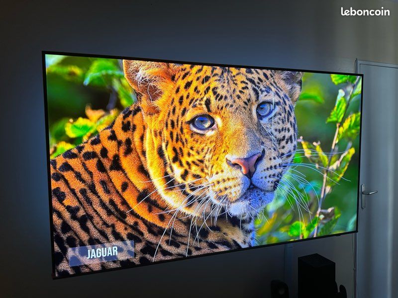 Samsung QLED TQ75Q72D 75" (189 cm) 4K UHD AI Smart TV 2024 (image 1)