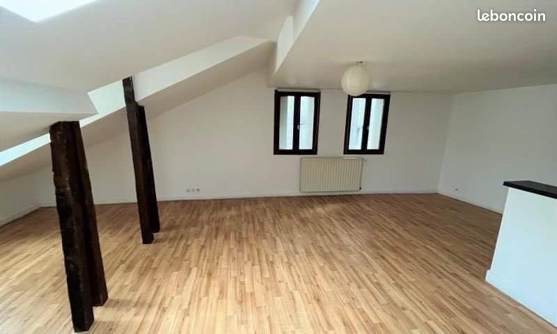 Loue T2 Centre Ville Limoges - Limoges 87000 Centre-Hôtel de Ville Emailleurs (image principale 1)