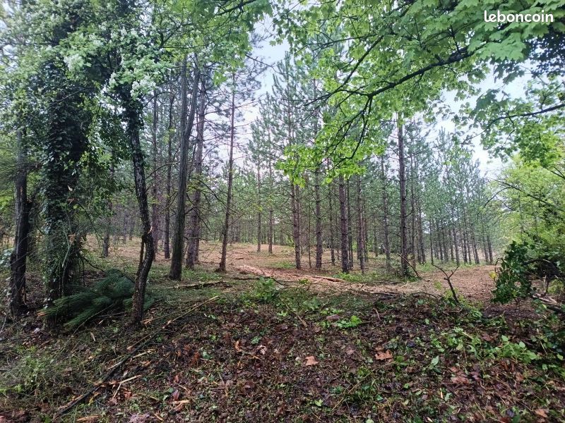 Terrain 506 m² · à Mollans-sur-Ouvèze · 506 m² · 99 000 €