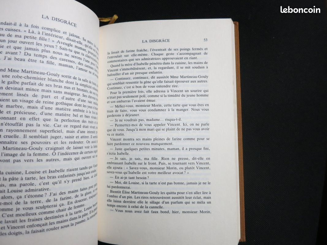La Disgrâce - nicole avril (image 4)