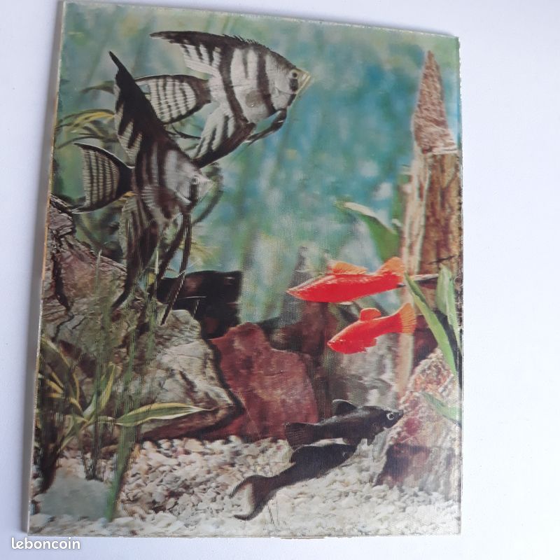 Ancien tableau poisson effet 3d aquarium (image 2)