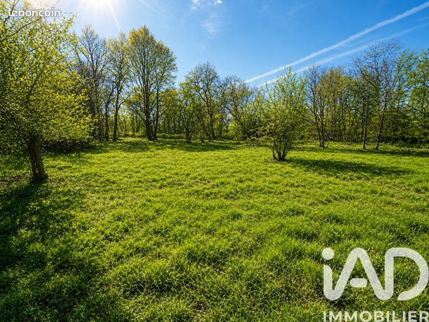 Terrain 5340 m² Louchats