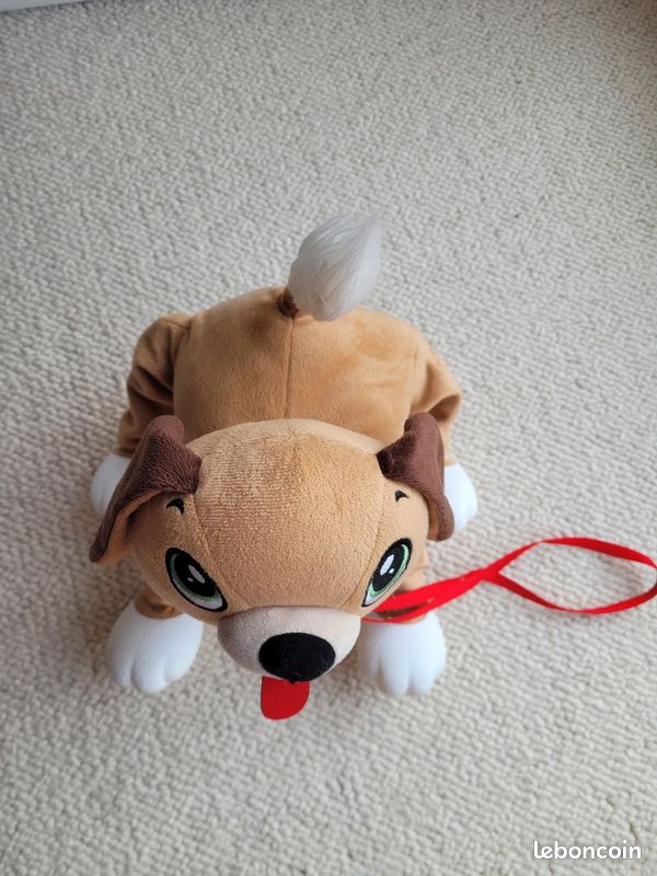 Superbe chien Toufou (image 4)