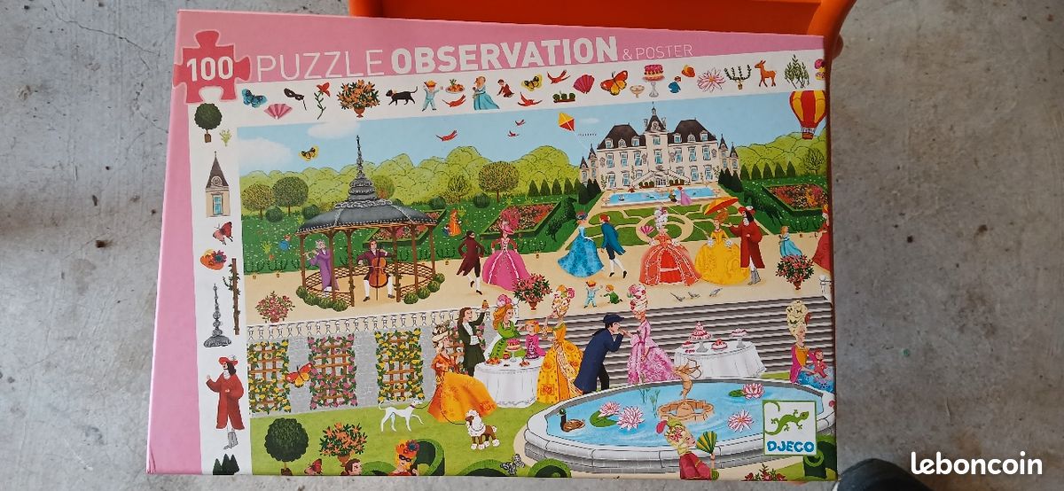 Puzzle observation (image 1)