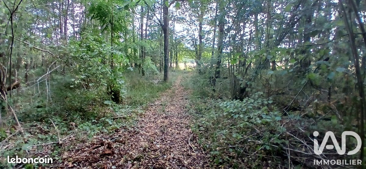 Terrain 3306 m² · à Villemoutiers · 3 306 m² · 49 590 €