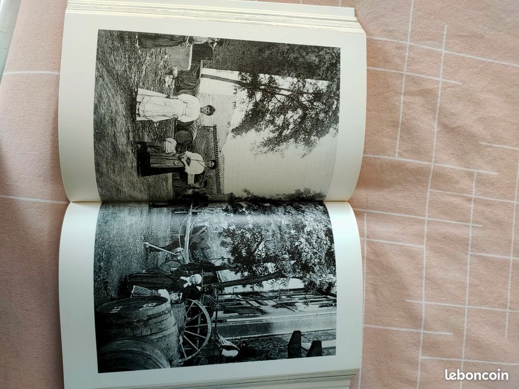 Lot 2 livres Aude éditions Bonneton et abbaye de Cluny par Agnès Gerhards (image 4)