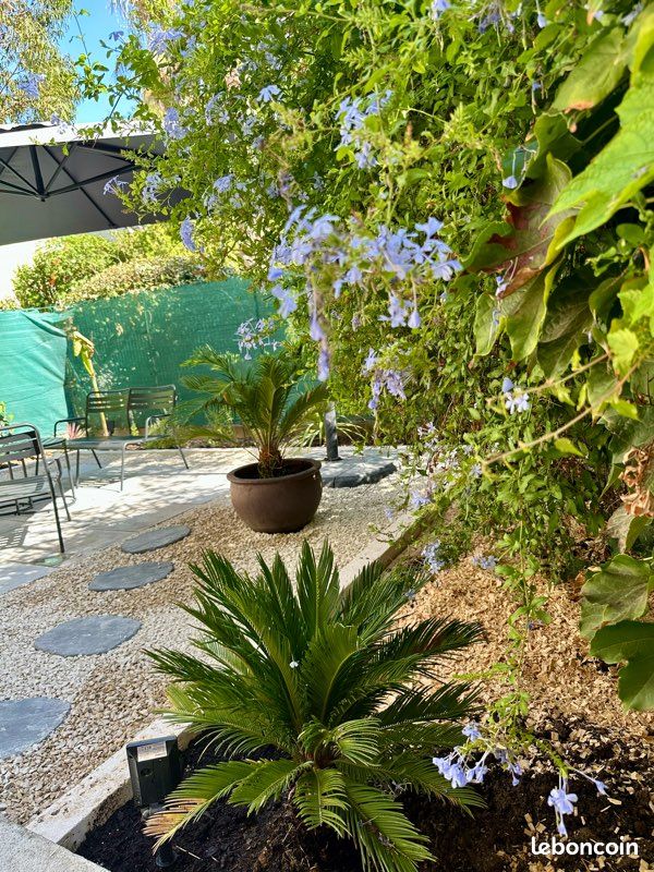 Appartement 2 pièces 62 m² · à Marseille · 62 m² · 1 300 €/mois